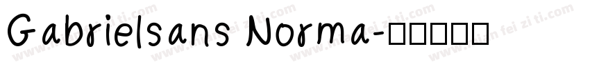 Gabrielsans Norma字体转换
